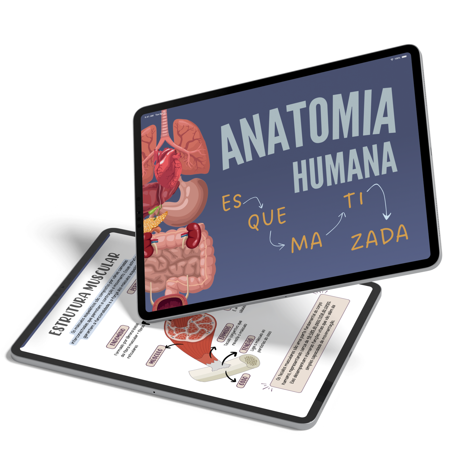 Tablet_Pro_Mockup_10_ (4) Tablet_Pro_Mockup_10_ (4)