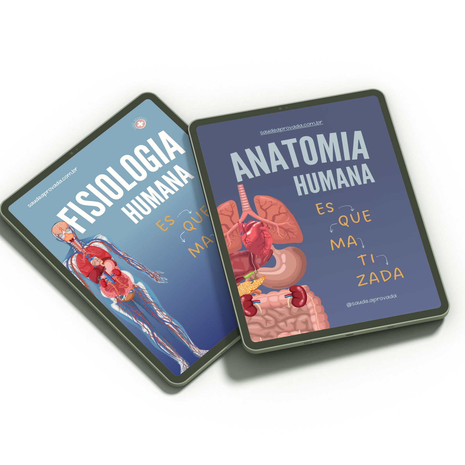 anatomia + fisiologia anatomia + fisiologia